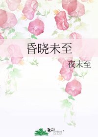 昏晓未至